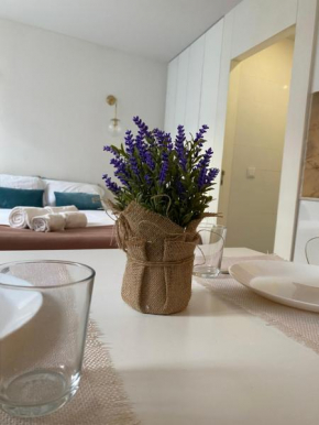 Great Studio in Sé do Porto - Central Location